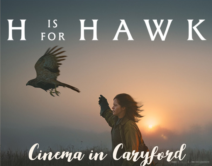 H is for Hawk film image